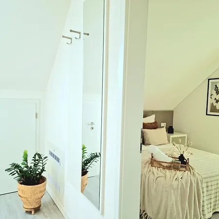 Apartament Homestay-stylish, Zentral- Loft Apartment-parking